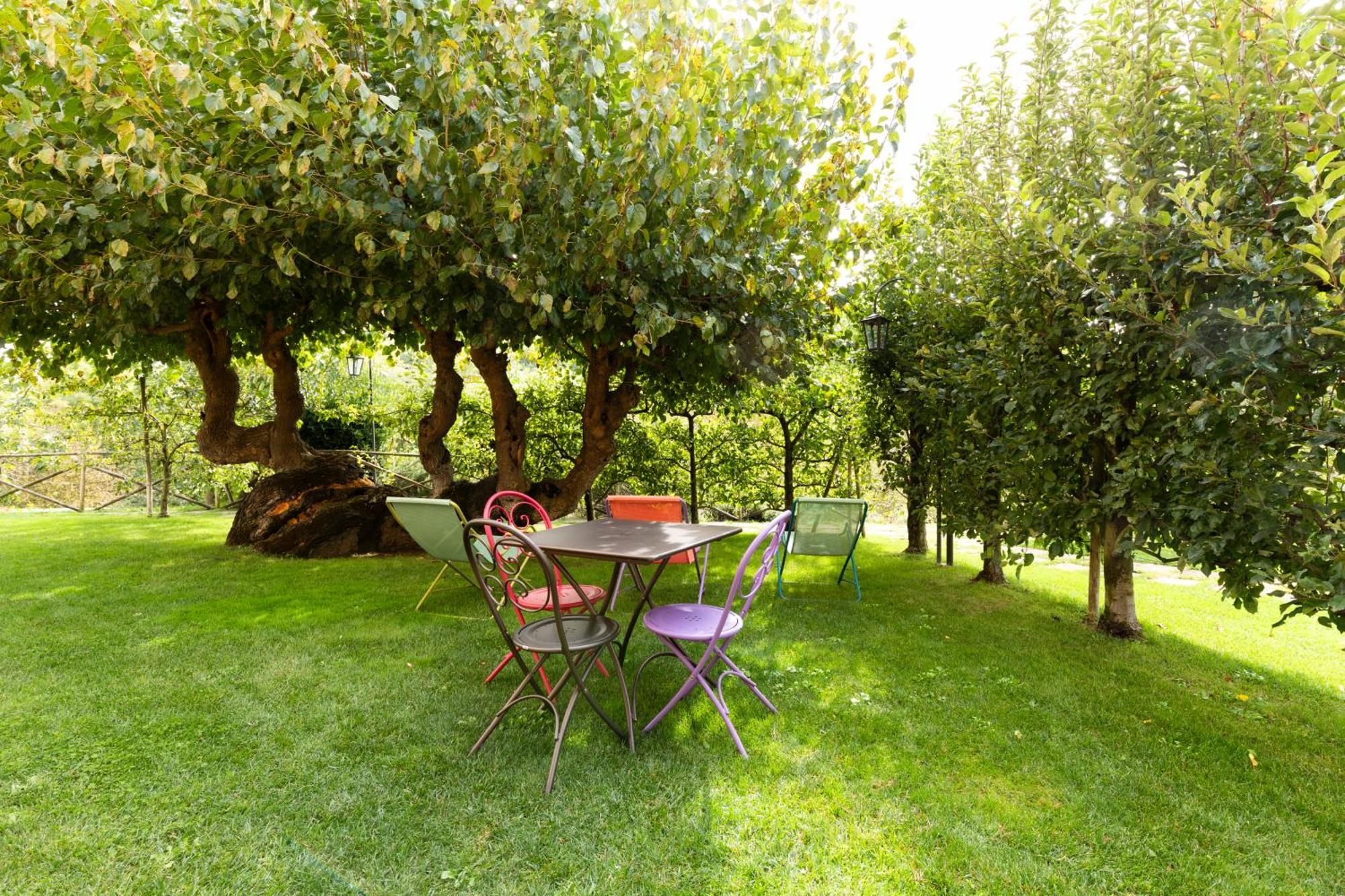 Agriturismo I Gelsi Di Santa Cristina Gubbio Eksteriør bilde