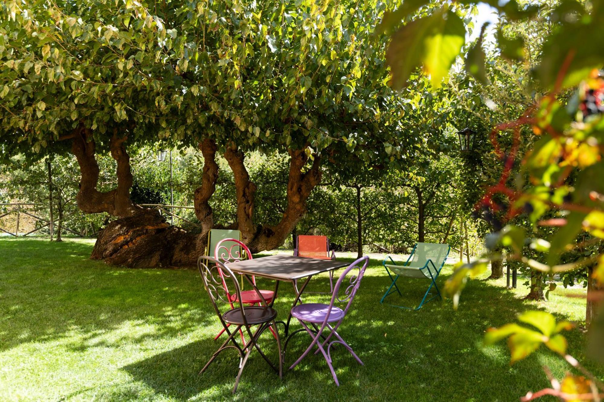 Agriturismo I Gelsi Di Santa Cristina Gubbio Eksteriør bilde